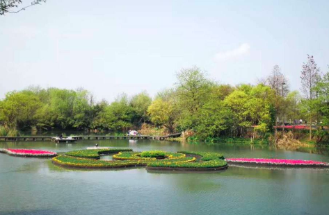 百奧源浮島濕地的作用機理